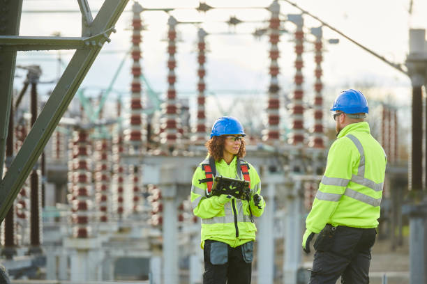 Best Electric Panel Repair  in Ridge Manor, FL